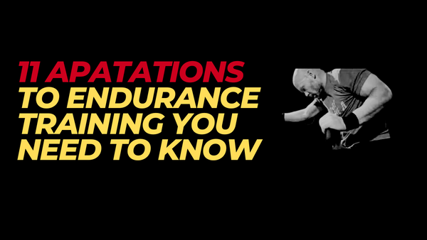 How the Body Adapts to Endurance Training